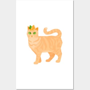 Orange Sherbet Cat Posters and Art